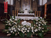 20-25.05.2024 r. - Biały Tydzień